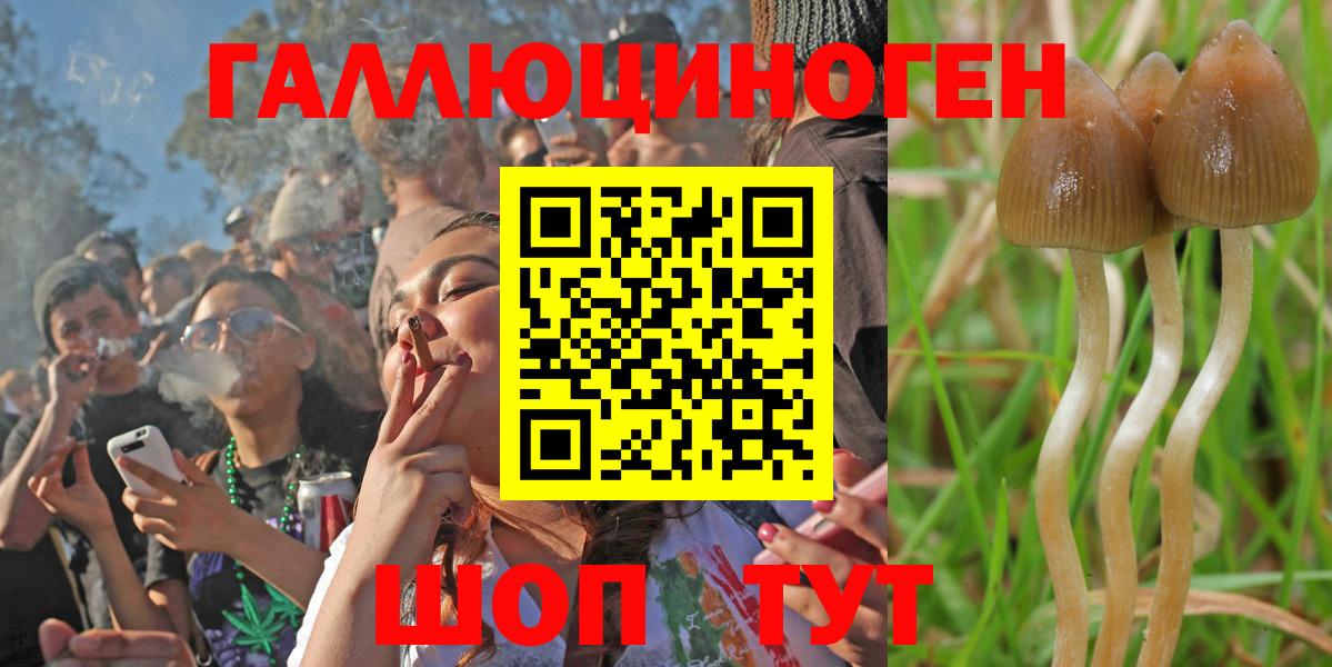 Галлюциногенные грибы Psilocybe  Псилоцибиновые грибы Magic Shrooms  Можга  цены наркотик  Вход с VPN 